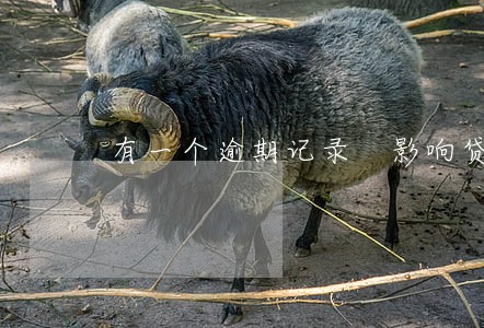 有一个逾期记录 影响贷款吗 有一个逾期记录 影响贷款吗
